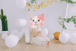 -NICE KIDS 奈时儿童摄影