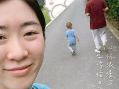 -前小桔亲子创意农场·草莓采摘·露营烧烤