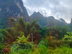-靖西鹅泉风景区