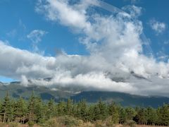 -陀岗美食·云南藏式特色餐厅