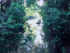 -上海滨江森林公园
