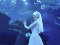 -成都浩海立方海洋公园