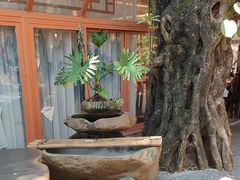 -陶缘一号·四季缘·老字号顺德菜·户外婚礼家宴(西滘店)