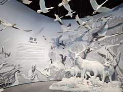 -中国湿地博物馆