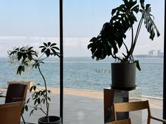 -朵云书院(滴水湖店)