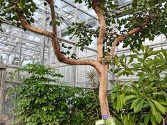 -国家植物园南园