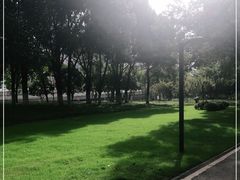 -后襄河公园
