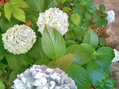 门面-慢隅法式小馆·生日求婚西餐厅