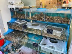-北戴河庆山饭店·海鲜砂锅粥(北戴河黑石路店)
