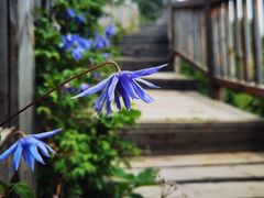 -白草畔自然风景区