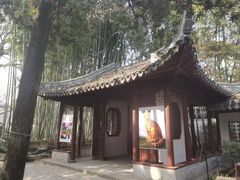 -秋霞圃