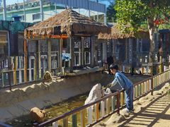 -西霞口神雕山野生动物世界