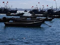 -海源公园