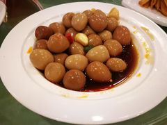 -中国饭店-餐厅