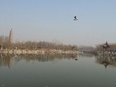 android_upload_pic-海宝公园