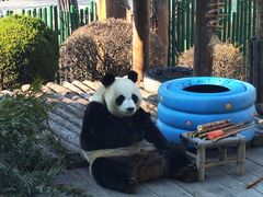 -大连森林动物园