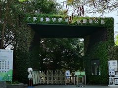 -华侨城湿地公园