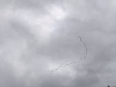 -两三事小郡肝串串香火锅(桂庙店)