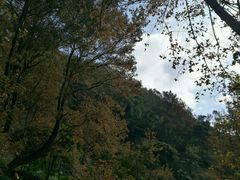 -广州市石门国家森林公园