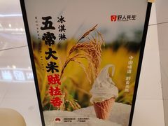 -野人先生现做冰淇淋(北京王府井东方新天地店)