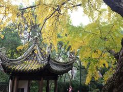 -惠山古镇·寄畅园