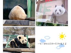 -天津市动物园