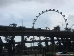 -新加坡摩天观景轮
