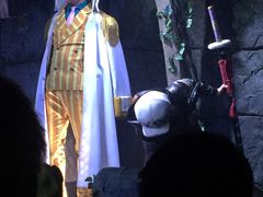 -东京塔海贼王主题公园
