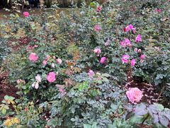 -人民公园(罗湖区)