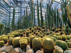 -南山植物园