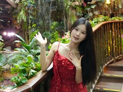 -正佳雨林生态植物园