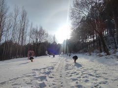 -玉泉威虎山森林公园