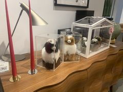 -DK45丹麦家居生活馆·依诺维绅(798店)