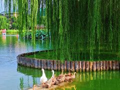 -西海子公园