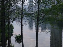 -琴亭湖公园
