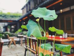 -鲤院·新中式美学·庭院餐厅(夫子庙店)