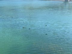 -清溪水库