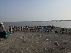 -南汇嘴观海公园