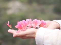 -木兰云雾山