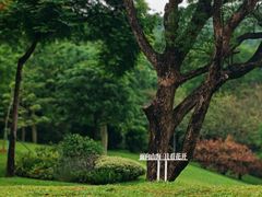 -云溪植物园
