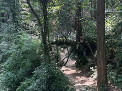 -波尔登森林公园