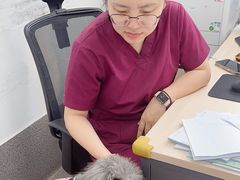 -中国农业大学动物医院