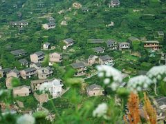 -枸杞岛