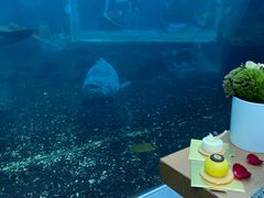 -海棠湾洲际-涛·海底餐厅·美人鱼·自助餐·海底隧道