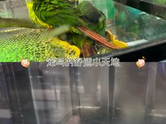 -时尚天河商业广场