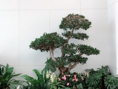 -福州长乐国际机场