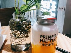 -素匠泰茶(三里屯SOHO工体奶茶店)