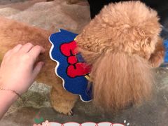 -半坡九号老挝冰咖啡