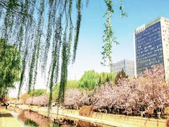 -元大都城垣遗址公园