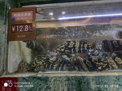 -徐记海鲜(阿波罗店)